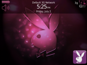 NEW Neon Pink Playboy Theme