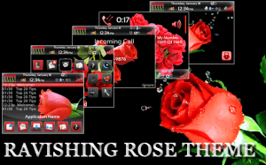 Ravishing rose theme