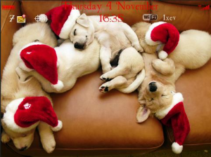 Christmas Puppies Theme