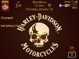 Harley-Davidson Bronze Skull Theme