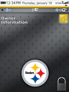 NFL Pittsburgh Steelers - Animated