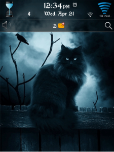 Black Cats Theme