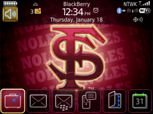 Florida State Seminoles College Theme