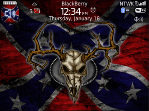 Southern Pride Skull PREMIUM Theme