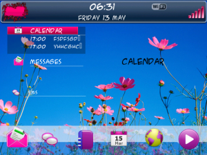 Clanwilliam Pink Flowers Theme