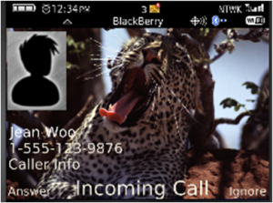 Wild Themes - LEOPARD