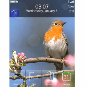 e-Mobile Live Bird Special promotion