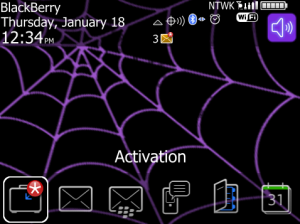 Spider Web Purple