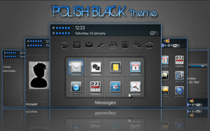 Polish Black Theme