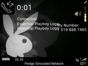 Essential Playboy Logo