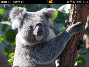 daZOO Koala Flipping Theme