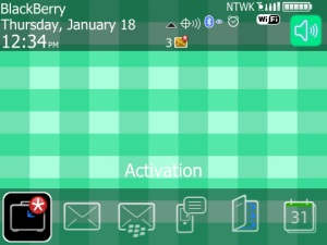 Gingham Ocean Green