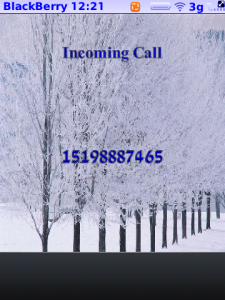 Winter Wonderland for BlackBerry Torch