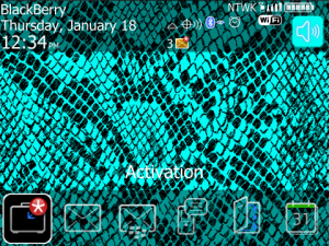 Snake Turquoise