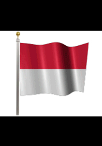 Indonesia Flag - Live Motion Wallpaper