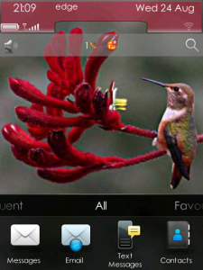 Humming Birds Theme for BlackBerry Torch