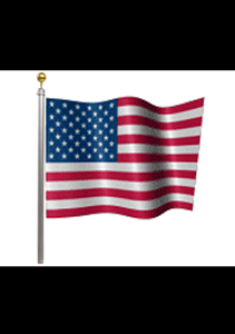 USA Flag - Live Motion Wallpaper