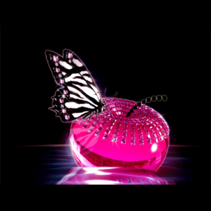 Zebra Diamond Butterfly