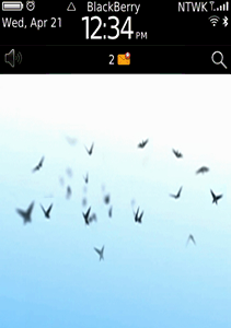 Birds Flying - Live Motion Wallpaper