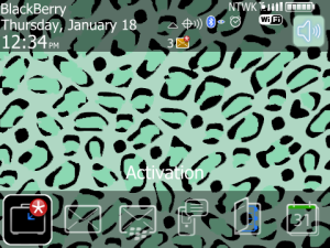 Artistic Leopard Sea Foam