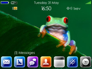 Colourful Frogs