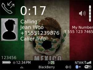 Mexico Soccer PREMIUM Theme