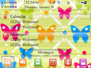 Girly Butterfly Theme