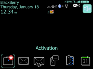 Simply Mint