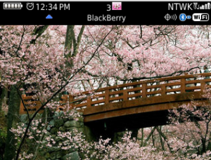 Cherry Blossom 2 for os5