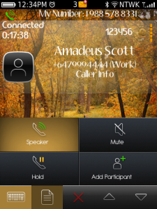 Autumn Season Theme For BlackBerry Torch