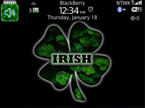 Irish Life PREMIUM Theme