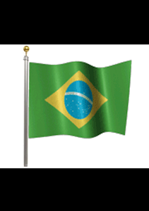 Brazil Flag - Live Motion Wallpaper