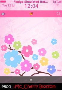 Sweet multi colours of cherry blossom