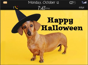 Halloween Pooch 8900 theme for BlackBerry