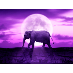 Moonlight Elephant Theme
