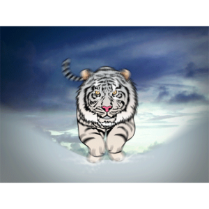 Snow Tiger Premium Theme