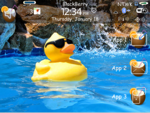 Pool Party for BlackBerry Bold os5