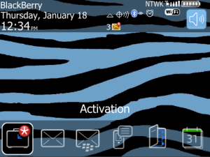 Zebra Baby Blue