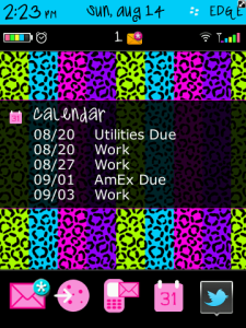 Rainbow Cheetah Today Plus for BlackBerry Torch 9800 OS 6.0 Theme