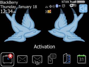Swallows Baby Blue