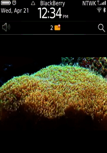 Coral Reef 2 - Live Motion Wallpaper