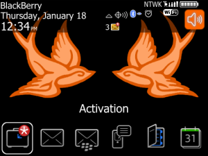 Swallows Orange