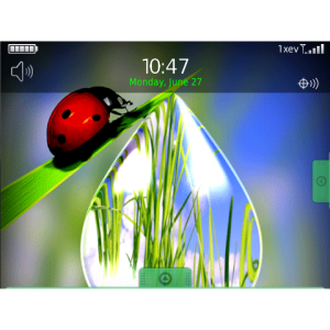 Laybird dew drop