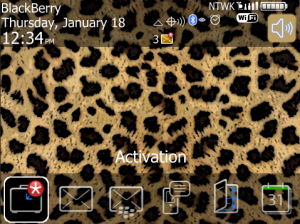 Cheetah Print