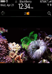 Coral Reef 1 - Live Motion Wallpaper