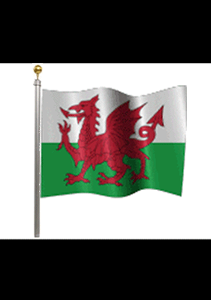 Wales Flag - Live Motion Wallpaper