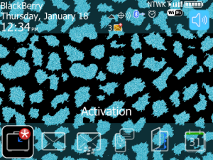 Cheetah Aqua Glitterific