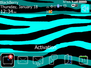 Zebra Turquoise
