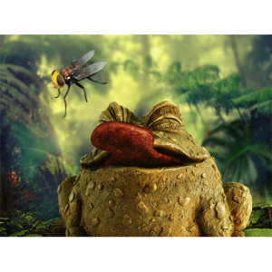 Jungle Frog Premium Theme