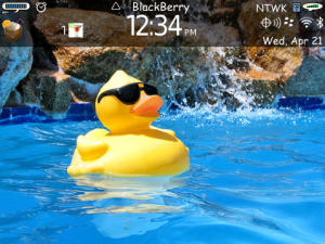 Pool Party for BlackBerry Bold os6